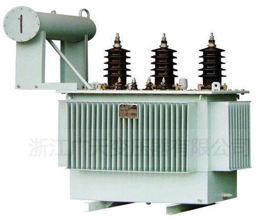 供應(yīng)建筑工地標(biāo)準(zhǔn)臨時(shí)配電箱及油浸式變壓器