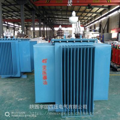 中國(guó)油浸式變壓器供應(yīng)商 價(jià)格與廠家綜合分析